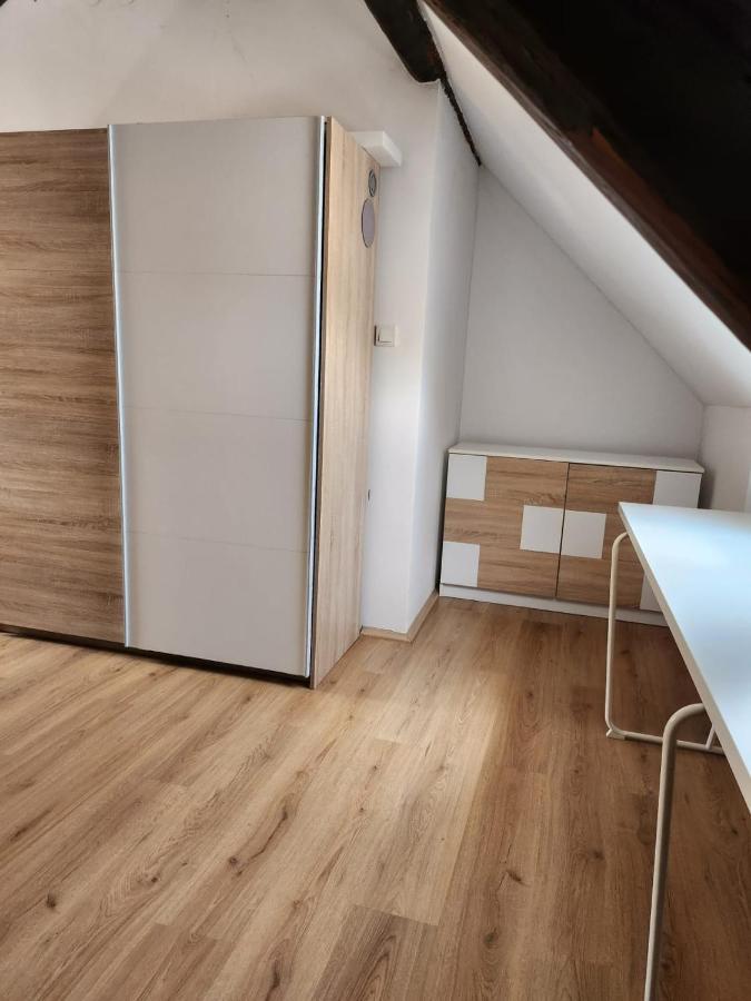 자그레브 Apartman Buzanova 001 아파트 외부 사진