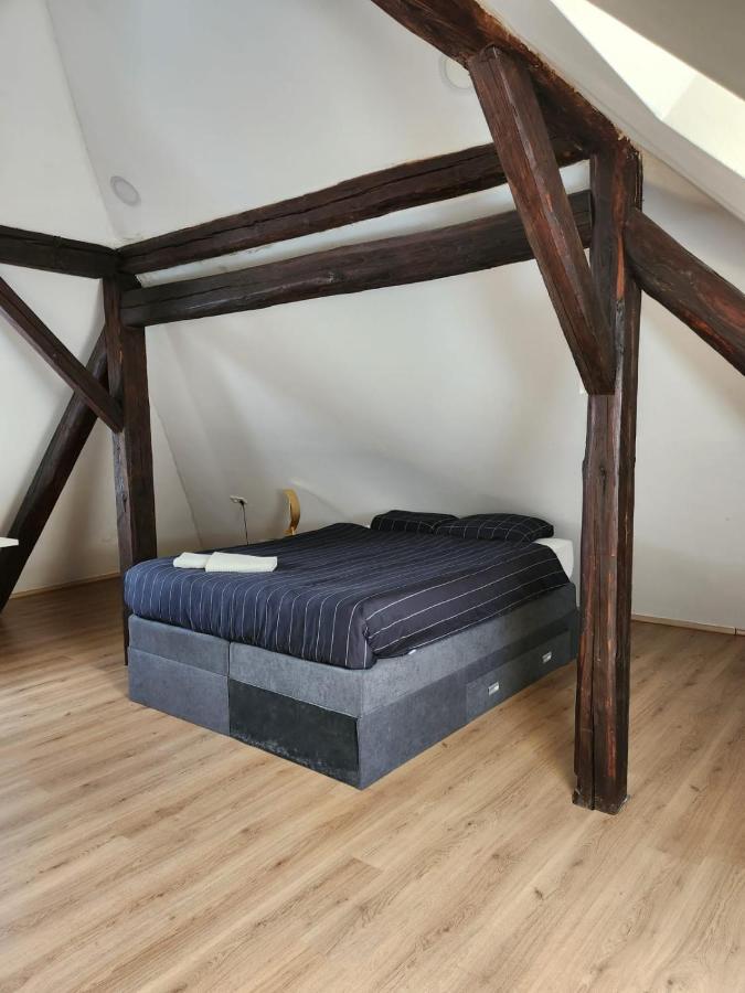 자그레브 Apartman Buzanova 001 아파트 외부 사진