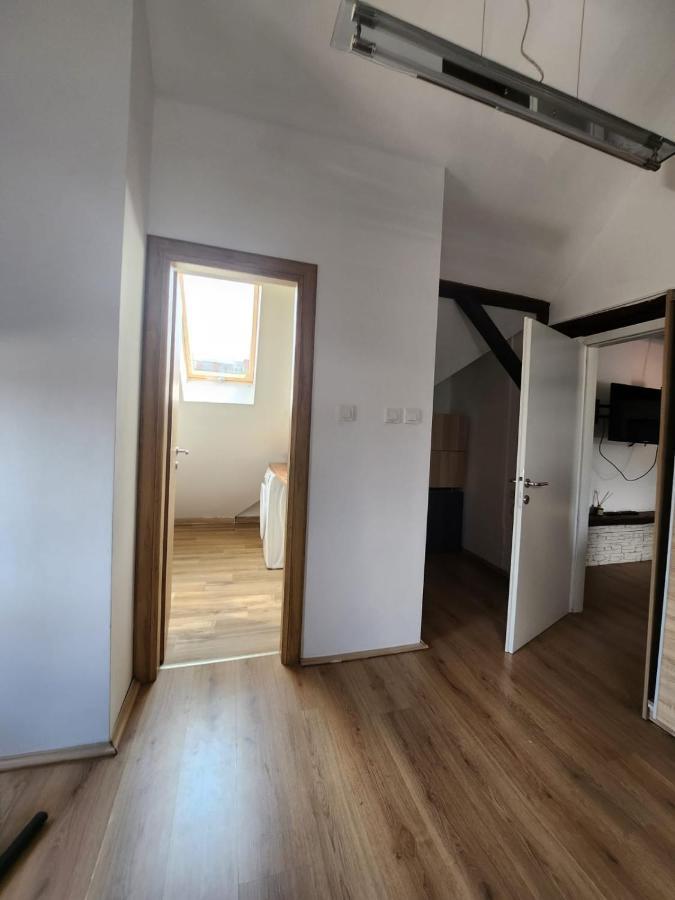 자그레브 Apartman Buzanova 001 아파트 외부 사진