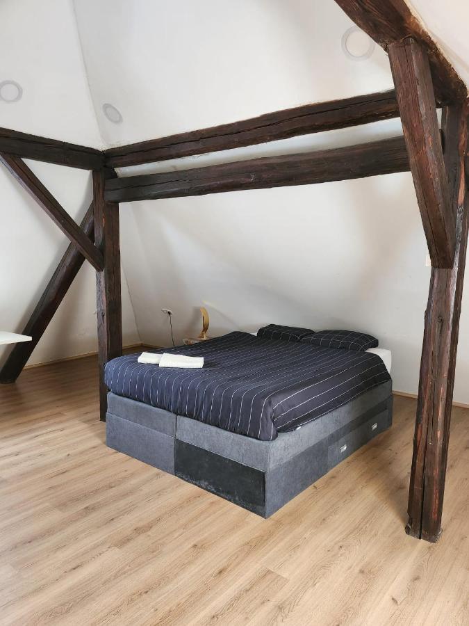 자그레브 Apartman Buzanova 001 아파트 외부 사진