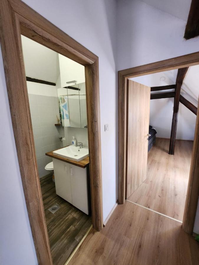 자그레브 Apartman Buzanova 001 아파트 외부 사진